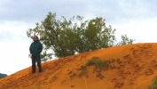 PICTURES/Coral Pink Sand Dunes/t_Sharon On Windy Dune.JPG